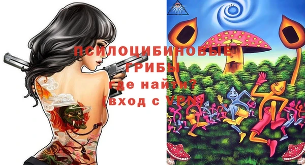 дурь Каменка