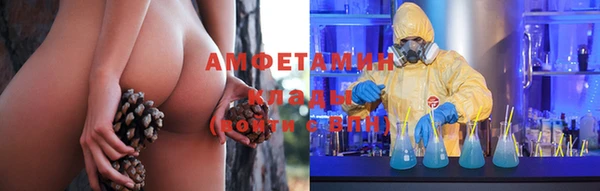 a pvp Каменногорск