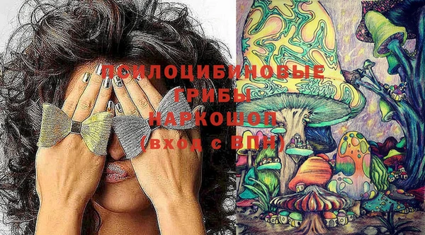 дурь Каменка