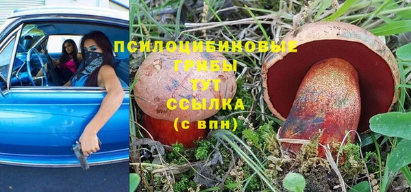 a pvp Каменногорск